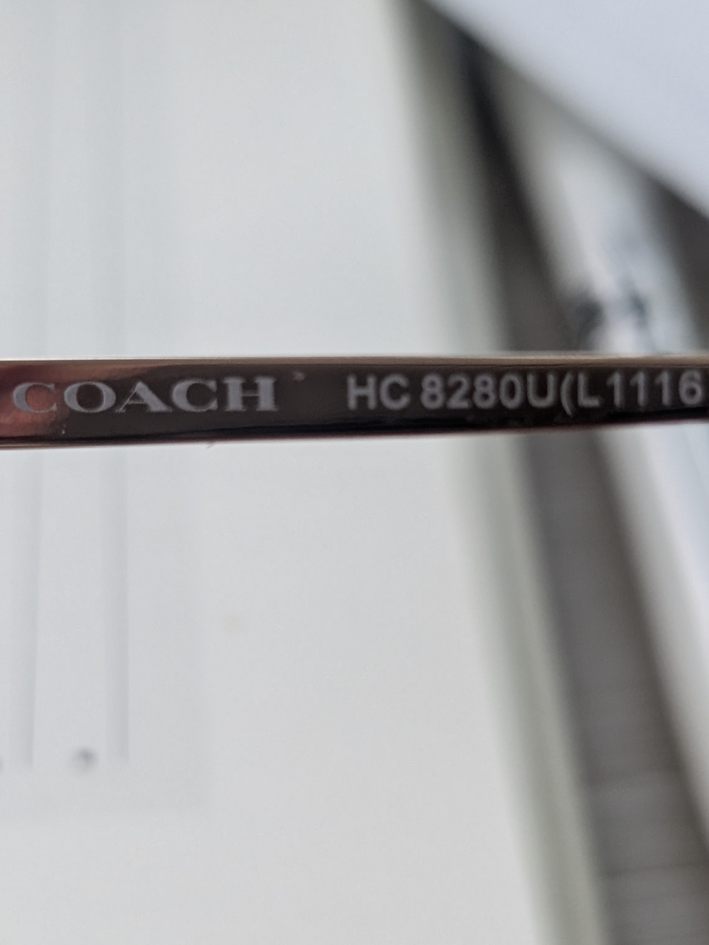 Coach Translucent Taupe Oversized Sunglasses - Picture 2 of 4